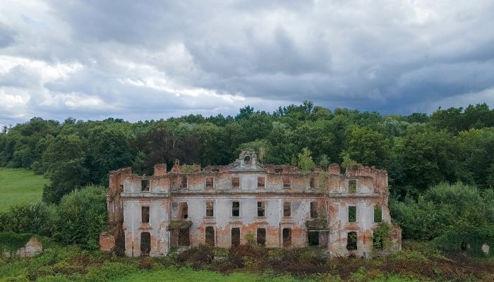 Kasteel Słobity 3