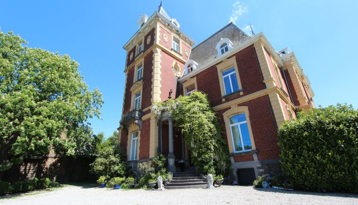 Kasteel Liège, Verviers, Theux, La Reid 2