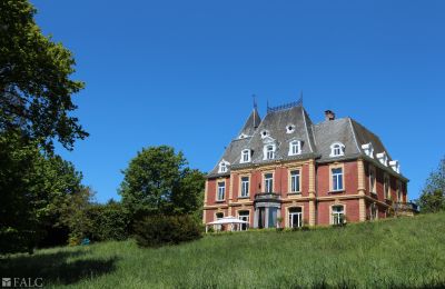 Kasteel te koop Liège, Verviers, Theux, La Reid, Wallonie, Foto 31/33