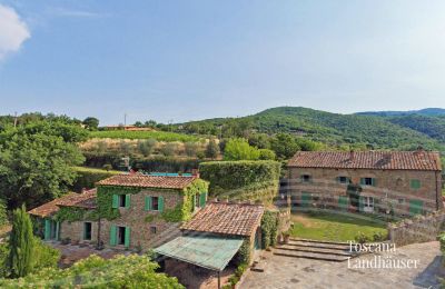 Plattelandswoning te koop Arezzo, Toscane, RIF 2993 Blick auf Anwesen 