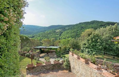 Plattelandswoning te koop Arezzo, Toscane, RIF 2993 Panoramablick