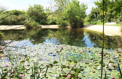 Landhuis te koop Gémozac, Nouvelle-Aquitaine, Der Teich mit Sandstrand