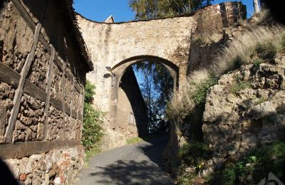 Kasteel te koop 07333 Könitz, Thüringen, 4