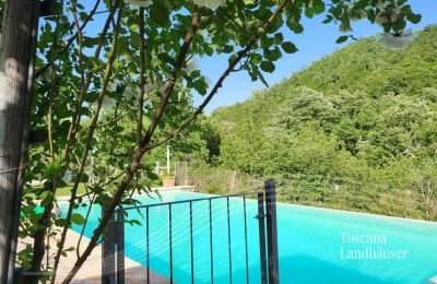 Plattelandswoning te koop Gaiole in Chianti, Toscane, RIF 3003 Weg zum Pool