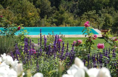 Plattelandswoning te koop Gaiole in Chianti, Toscane, RIF 3003 Pool