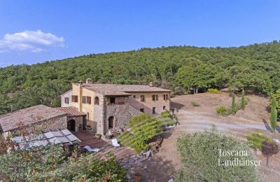 Plattelandswoning te koop Sarteano, Toscane, RIF 3005 Haus und Umgebung