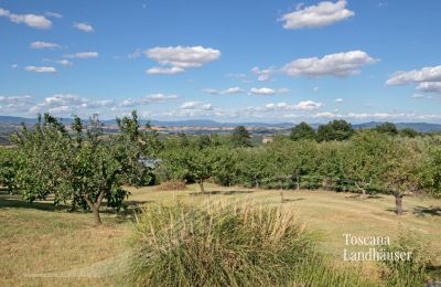 Boerderij te koop Sarteano, Toscane, RIF 3009 Panoramablick