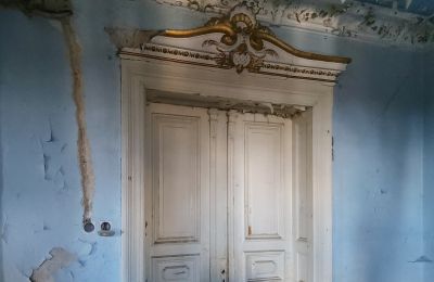 Historische villa te koop Lubsko, Milosza 2, województwo lubuskie, Details