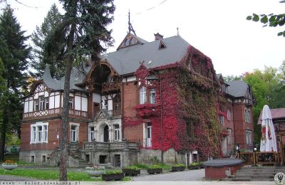 Historische villa te koop Kudowa-Zdrój, Zdrojowa 36, województwo dolnośląskie, Foto 4/6