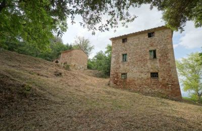 Boerderij te koop Città di Castello, Umbria, Foto 15/23