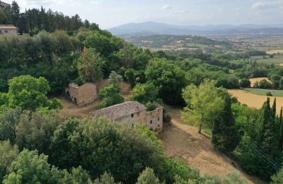 Boerderij te koop Città di Castello, Umbria, Foto 4/23