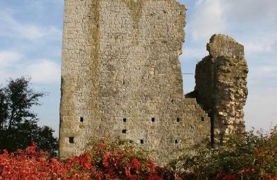 Historische toren te koop Bucine, Toscane, Foto 2/22