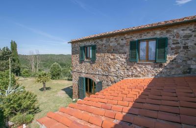 Boerderij te koop Asciano, Toscane, RIF 2982 Rustico