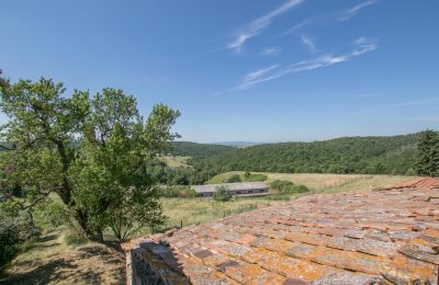 Boerderij te koop Asciano, Toscane, RIF 2982 Blick auf Landschaft