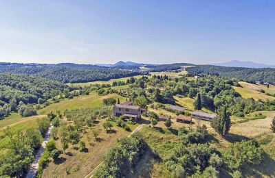 Boerderij te koop Asciano, Toscane, RIF 2982 Vogelperspektive II