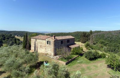 Boerderij te koop Asciano, Toscane, RIF 2982 Ansicht Anwesen