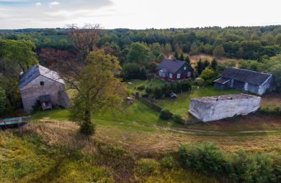 Molen te koop Pawłów, województwo mazowieckie, Foto 13/19