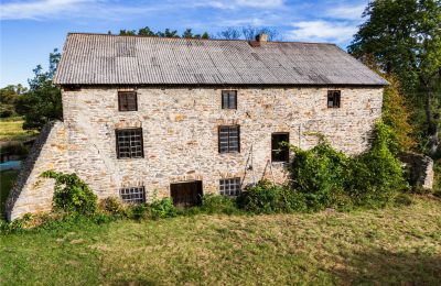 Molen te koop Pawłów, województwo mazowieckie, Foto 2/19