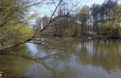 Historisch Park te koop Dębe Wielkie, Ruda, województwo mazowieckie, Vijver/Meer