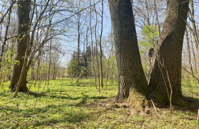 Historisch Park te koop Dębe Wielkie, Ruda, województwo mazowieckie, Foto 19/24