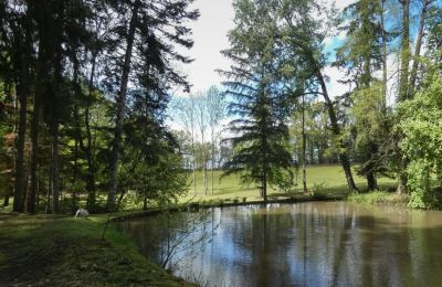 Kasteel te koop Bourgogne-Franche-Comté, Vijver/Meer