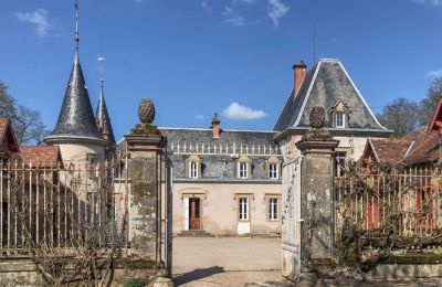 Kasteel te koop Bourgogne-Franche-Comté, Ingang