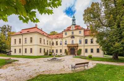 Kasteel te koop Mirošov, Zámek Mirošov, Plzeňský kraj, Tuin