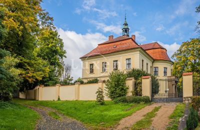 Kasteel te koop Mirošov, Zámek Mirošov, Plzeňský kraj, Foto 26/30