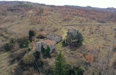 Boerderij te koop 06019 Umbertide, Umbria, Foto 12/20