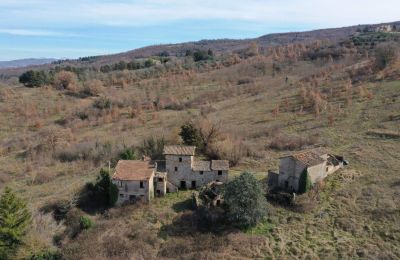 Boerderij te koop 06019 Umbertide, Umbria, Foto 3/20