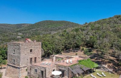 Historische toren te koop Talamone, Toscane, Foto 5/18