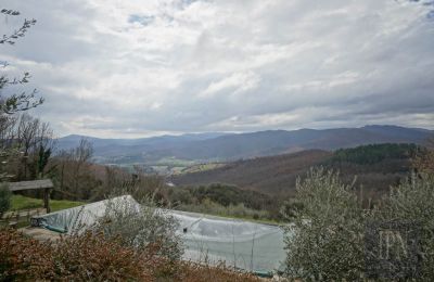 Boerderij te koop Città di Castello, Umbria, Foto 8/48