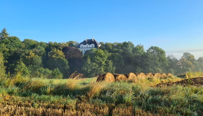 Kasteel te koop Piszkowice, województwo dolnośląskie,  Polen