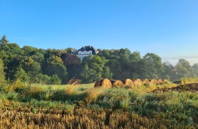 Kasteel te koop Piszkowice, województwo dolnośląskie, Foto 1/21