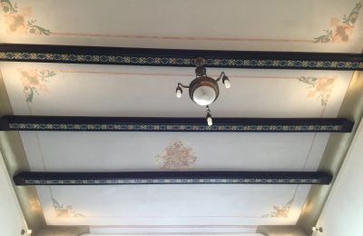 Historische villa te koop Strzelin, Kazanów 21, województwo dolnośląskie, Foto 7/20