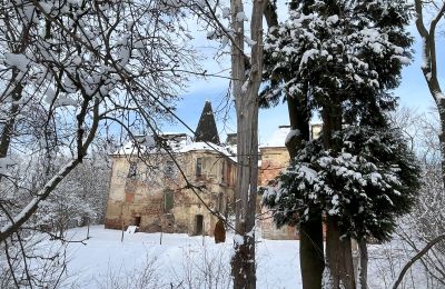 Kasteel te koop Komorowice, Wrocławska 27, województwo dolnośląskie, Foto 31/36