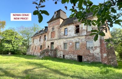 Vastgoed, Renovatiebehoevend kasteel met klein park Wrocław, Polen