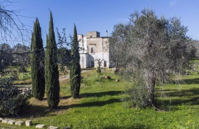 Boerderij te koop Oria, Puglia, Foto 3/26