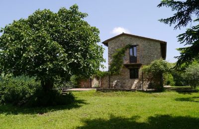 Boerderij te koop Promano, Umbria, Eigendom