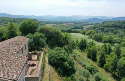 Boerderij te koop Promano, Umbria, Foto 19/21