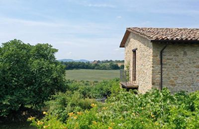 Boerderij te koop Promano, Umbria, Foto 20/21