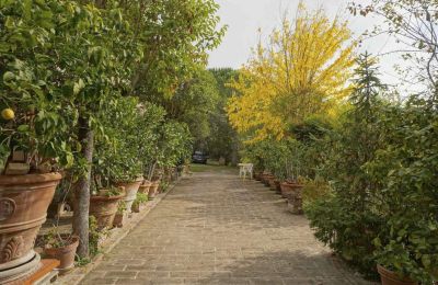 Boerderij te koop Casaglia, Umbria, Foto 18/38