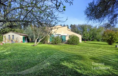 Plattelandswoning te koop Castagneto Carducci, Toscane, RIF 3057 Haus und Terrasse