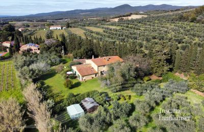 Plattelandswoning te koop Castagneto Carducci, Toscane, RIF 3057 Blick auf Anwesen und Umgebung