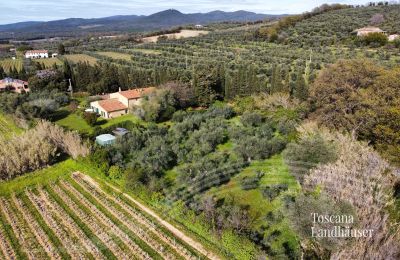 Plattelandswoning te koop Castagneto Carducci, Toscane, RIf 3057 Anwesen und Olivenbäume