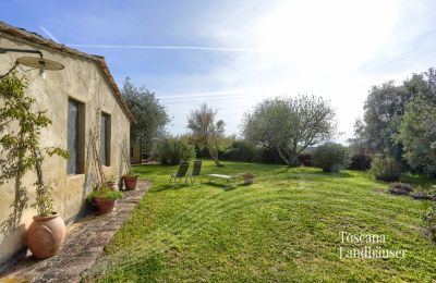 Plattelandswoning te koop Castagneto Carducci, Toscane, RIF 3057 Garten