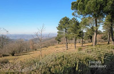 Plattelandswoning te koop Gaiole in Chianti, Toscane, RIF 3041 Ausblick