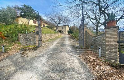 Boerderij te koop Marciano della Chiana, Toscane, RIF 3055 Zufahrtstor