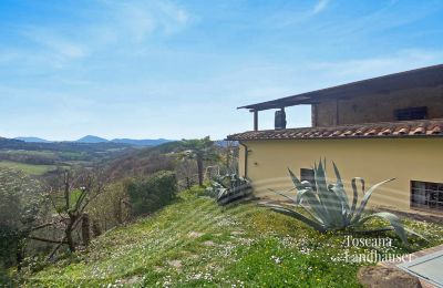 Boerderij te koop Marciano della Chiana, Toscane, RIF 3055 Haus und Umgebung