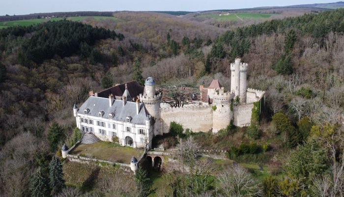 Kasteel te koop Veauce, Auvergne-Rhône-Alpes